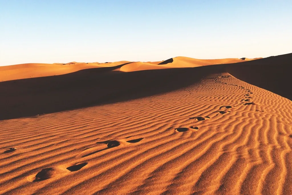 ميدان التدريب الرملي